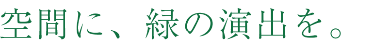 空間に、緑の演出を。