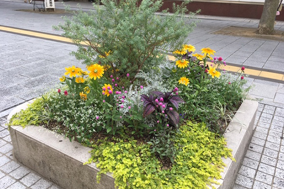 プレンティ（神戸市西区のショッピングセンター）花壇管理