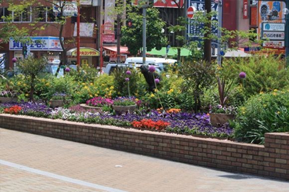 JR元町駅他の花壇