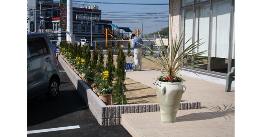 2010年2月植え付け当初