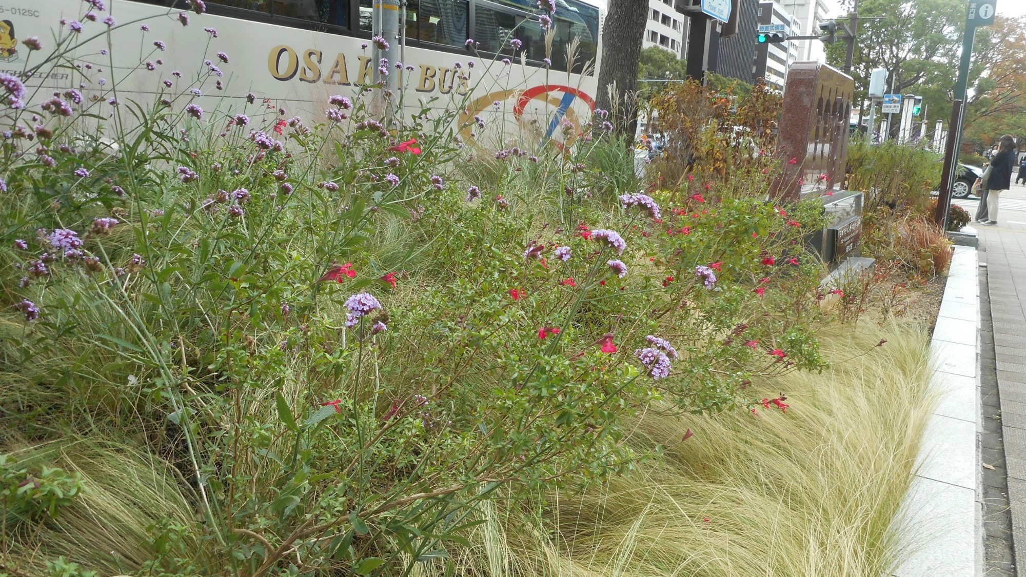 Living Nature Kobe-三宮市役所前実験花壇-